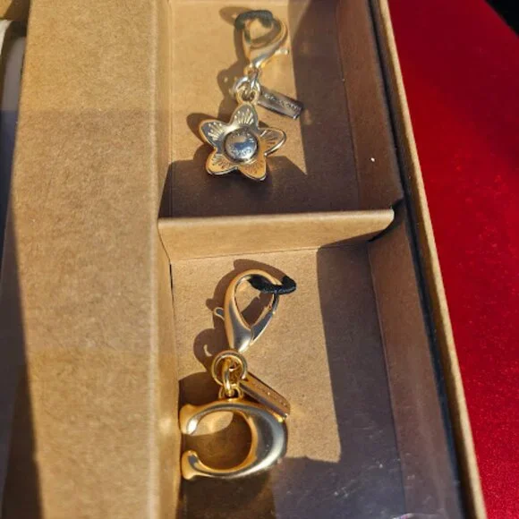 NWT Coach Wallet/Chain/2 Charms - Picture 3 of 10